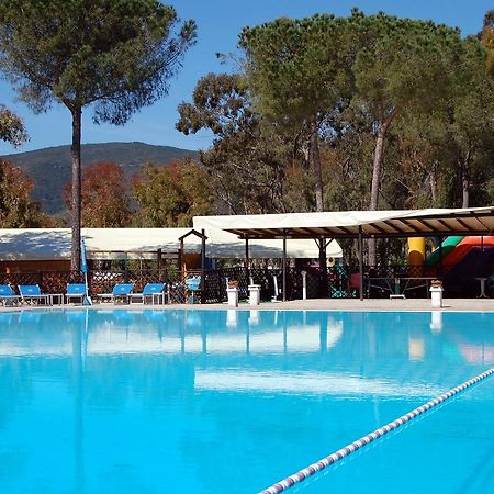 Camping Lacona Capoliveri (Isola d'Elba) Exterior foto
