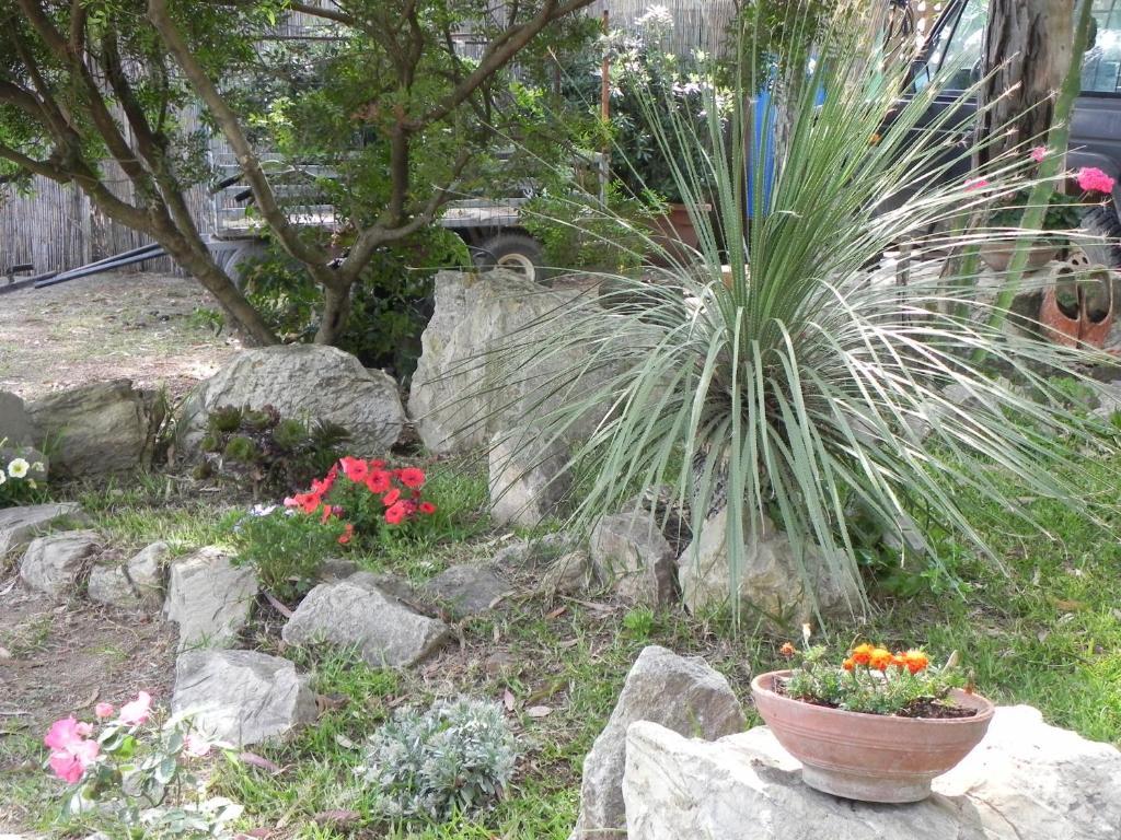 Camping Lacona Capoliveri (Isola d'Elba) Exterior foto